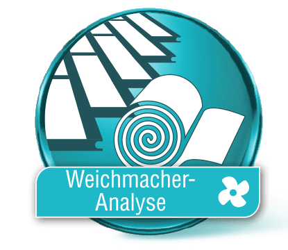 Weichmacher Analyse