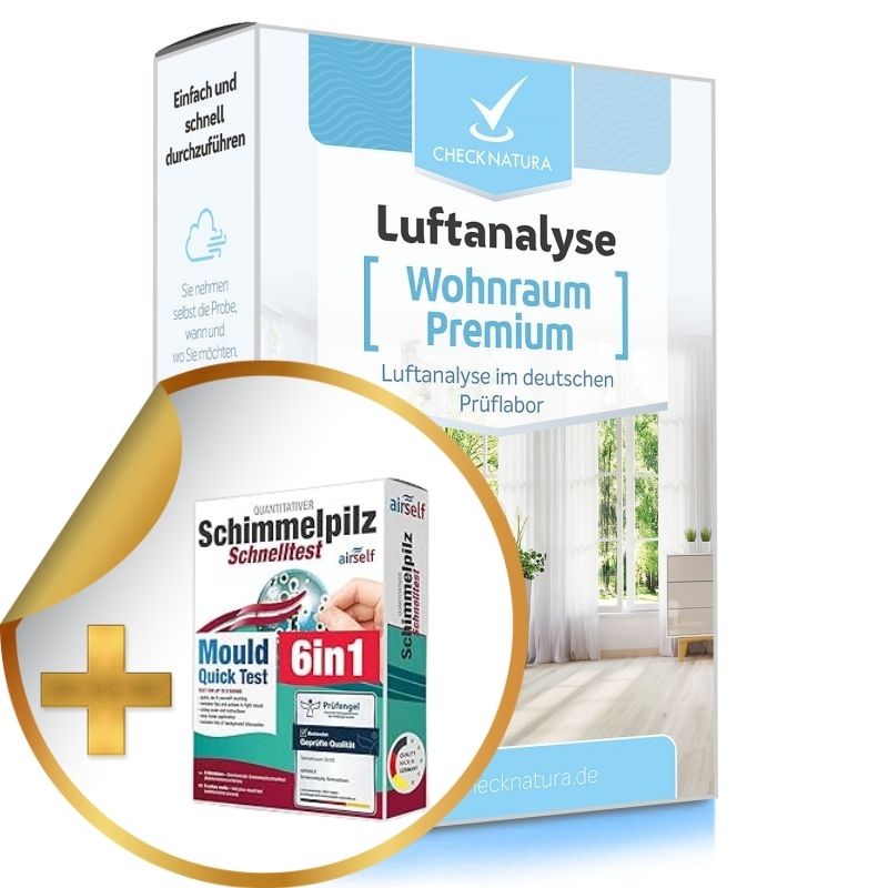 Kombi: Wohnraum Premium + Schimmeltest