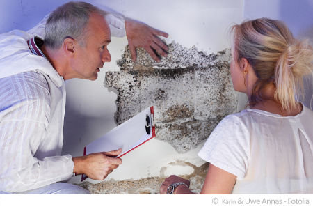 Gutachter für Schadstoffe