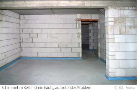 Schadstoffe im Keller
