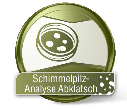 Schimmelpilztest Abklatsch