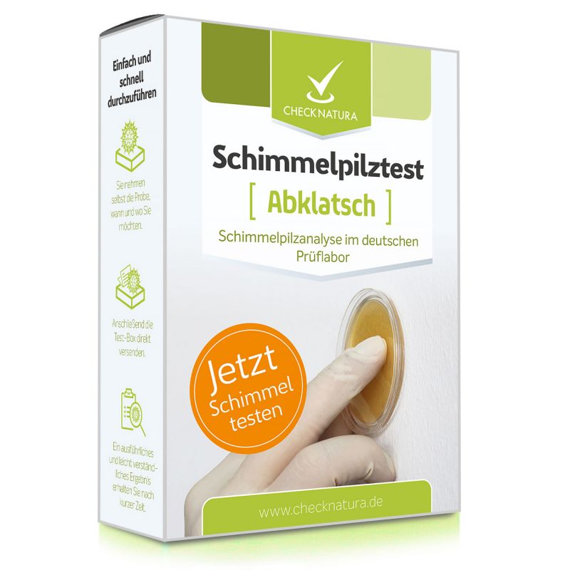 Schimmelpilztest Abklatsch