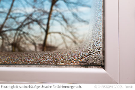 Feuchtigkeit wie an diesem Fenster ist oft ein Zeichen für schlechte Lüftung oder Isolierung. Dies fördert Schimmelgeruch.