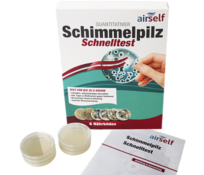 Schimmeltest Komplett, Experten-Komplettanalyse im Labor für Schimmelpilze  auf Oberflächen und Wänden in Ihrer Wohnung, zusätzliche Untersuchung der  Raumluft auf Schimmelsporen, : : Drogerie & Körperpflege