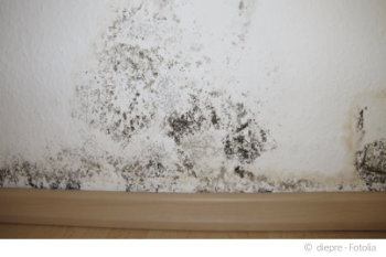 Schimmel an der Wand: Schimmelpilze können in Wohnräumen zu gesundheitlichen Beschwerden führen.