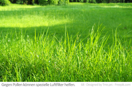 Eine grüne Wiese ist schön, doch Allergiker sind oft auf Luftfilter gegen Pollen angewiesen.