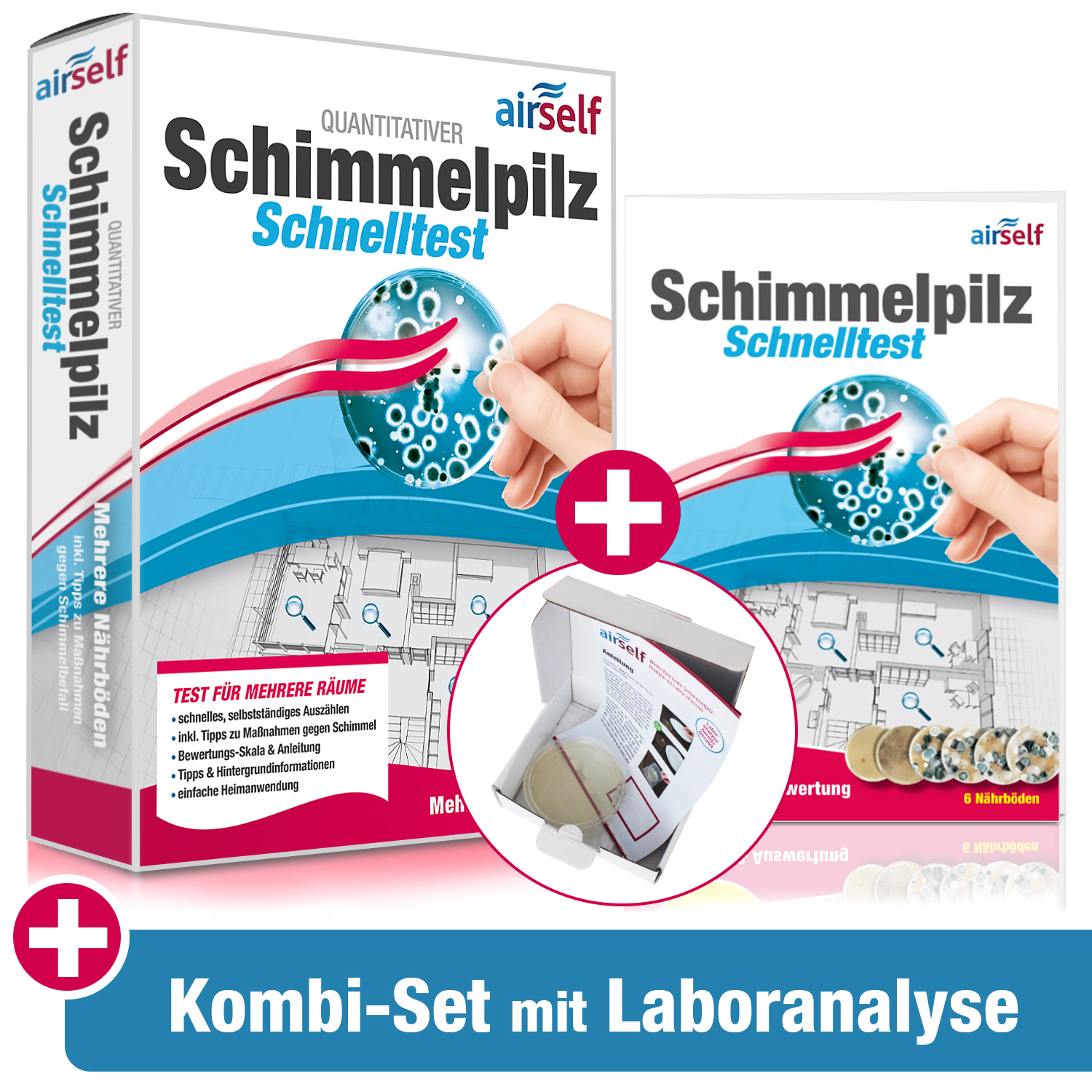 Schimmeltest Komplett, Experten-Komplettanalyse im Labor für Schimmelpilze  auf Oberflächen und Wänden in Ihrer Wohnung, zusätzliche Untersuchung der  Raumluft auf Schimmelsporen, : : Drogerie & Körperpflege