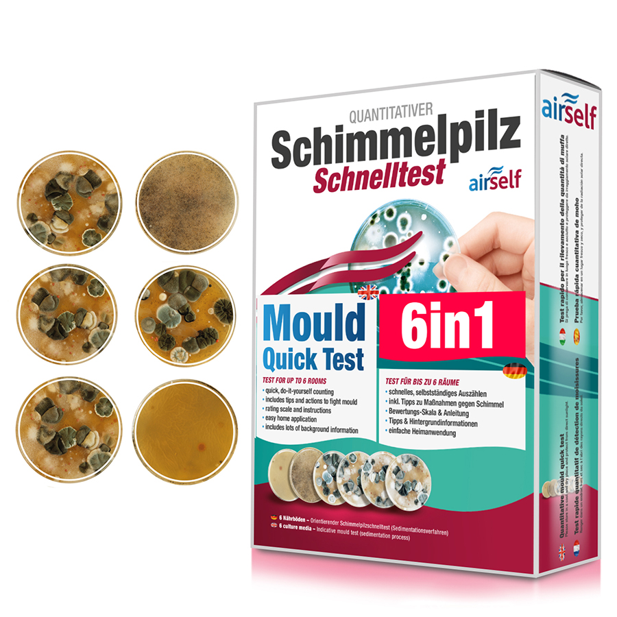 Schimmeltests vom Experten – Test-Kits + Analysen