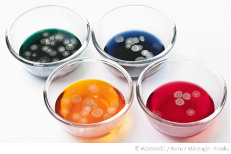 Schimmelkulturen haben verschiedene gesundheitliche Auswirkungen. Deshalb ist bei Verdacht ein Schimmelpilztest sinnvoll.